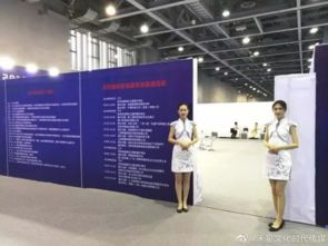 禾星文化熱烈祝賀2019首屆國際貿(mào)易服務(wù)博覽會圓滿成功，共繪會展服務(wù)新藍(lán)圖